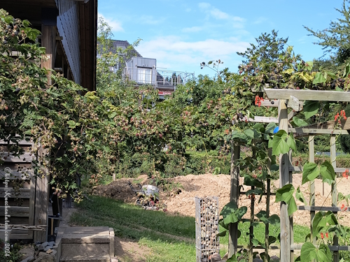 Brombeerranken für Brombeereis aus körnigem Frischkäse