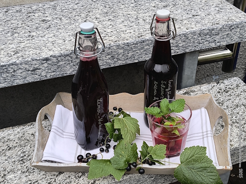 Essigsirup aus schwarzer Johannisbeere und Zitronenverbene – Shrub