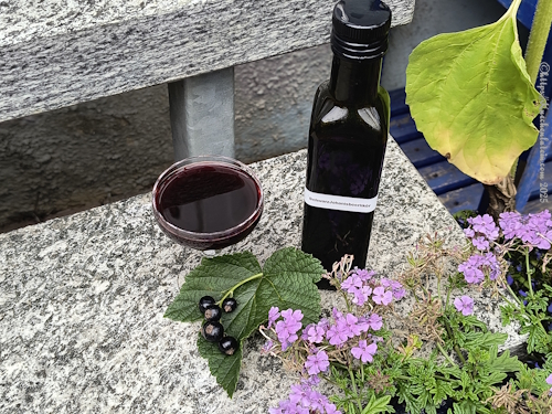 Schwarzer Johannisbeerlikör Schwarzer Kater