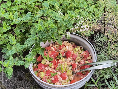 Tomaten-Bohnen-Salat mit Frühlingszwiebeln