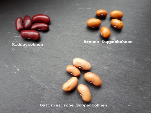 Rezepte mit Braunen Bohnen