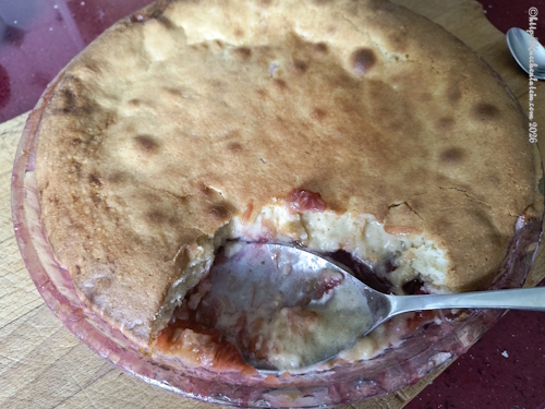 Rhabarberkuchen, ein Auffülllöffel hat sich durch Teig bis zum Kompott gearbeitet